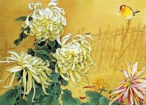 黄巢起义时他为何偏爱菊花