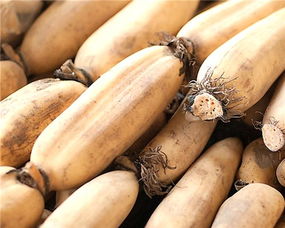 科学用药省药费