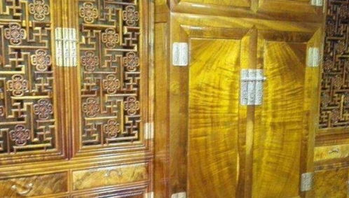 黄金楠木和黄板树：它们是同一种木材吗？