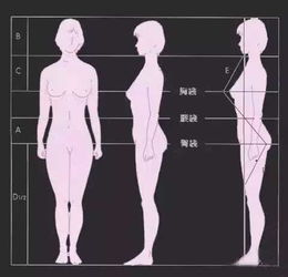 洛神花一次泡几朵？内行人揭秘最佳比例