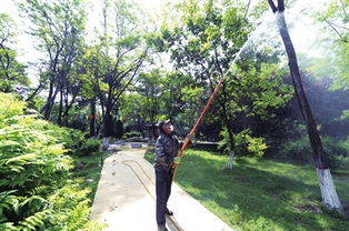 操作指南：三步打造无菌环境