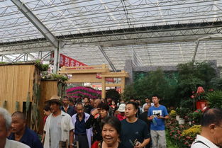 青州花卉博览会特色花卉展盘点