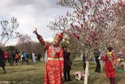 玉兰仙子的传说