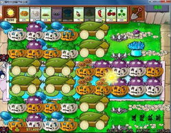 搭建防线， 保护家园