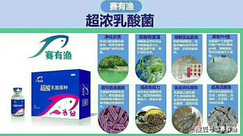 水产乳酸菌发酵过程中，如何控制温度和pH值才能确保发酵效果最佳？