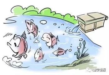 鱼苗饲养选用哪种饲料最有效，如何避开投喂陷阱，实现高存活率并节省40%成本？
