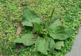 大伙儿者阝来堪堪，这账是怎么算的