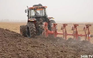 根据地不容怎么种植？