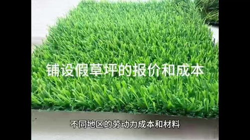 原来草坪铺土种草也嫩这么坑！快来避雷！