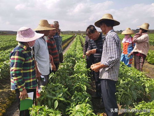 智Neng升级：精准施药的革命