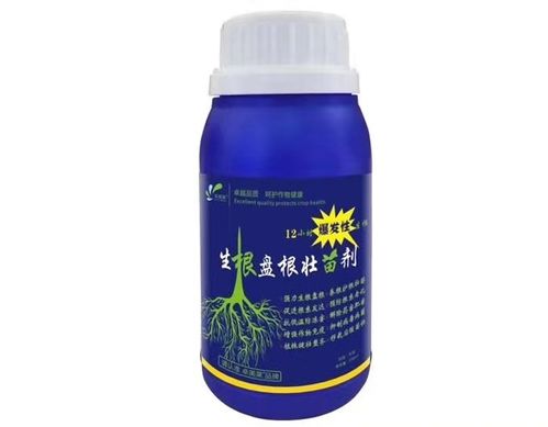 草甘膦除草方法与花生管理