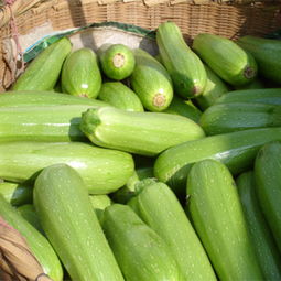 西葫芦冷冻后是否安全食用，以及如何正确保存
