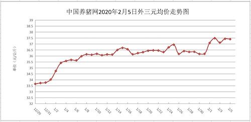 明年猪价还会持续上涨吗？2024年猪市行情预测如何？