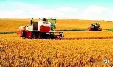 农业种植与甲霜恶霉灵