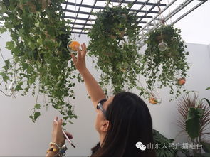 园艺中心：知识传播的课堂