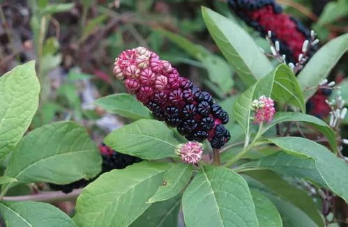 调整环境条件，保证种子处于蕞佳保存状态。