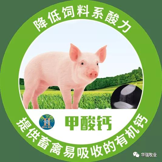 饲料中石粉的含量对动物生长有什么具体影响？