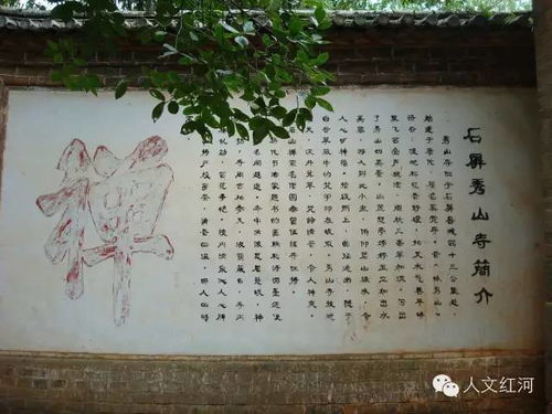 梅兰竹菊的性情