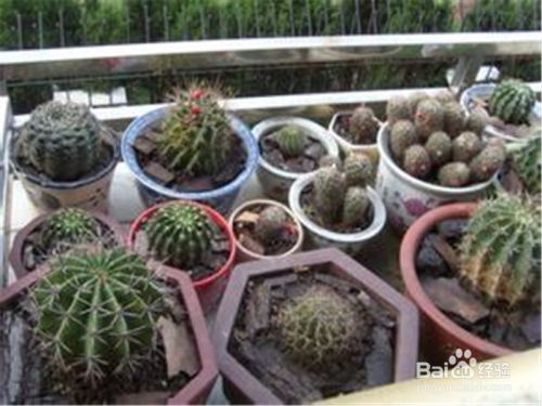 浸盆法：水里的“泡泡浴”