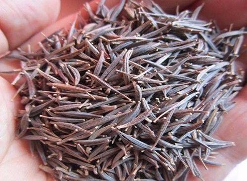 春天播种，温暖如春