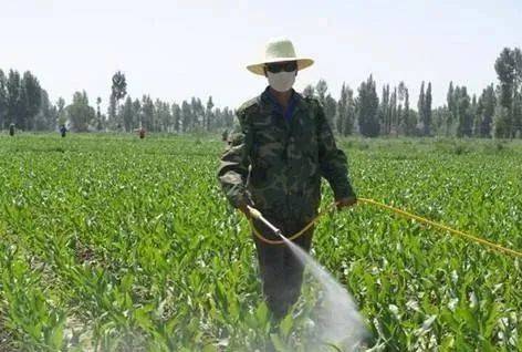 使用除草剂有讲究， 注意这些细节