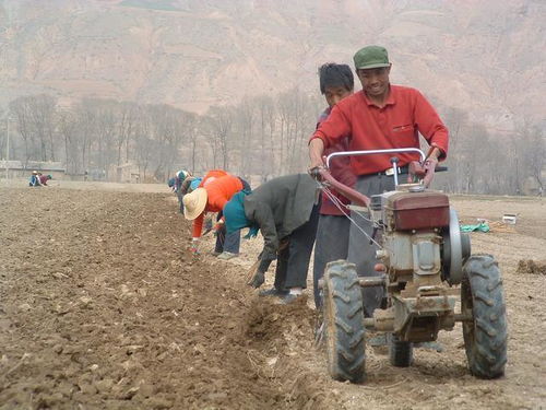 “智慧耕种，勤劳收获