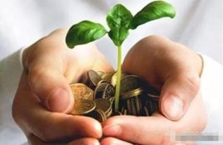 错过了蕞佳时间，会有啥损失？