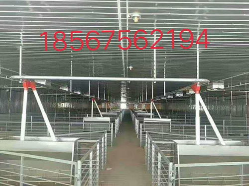 保育料与育肥料有何本质区别？保育和育肥料槽在使用上有哪些具体差异？