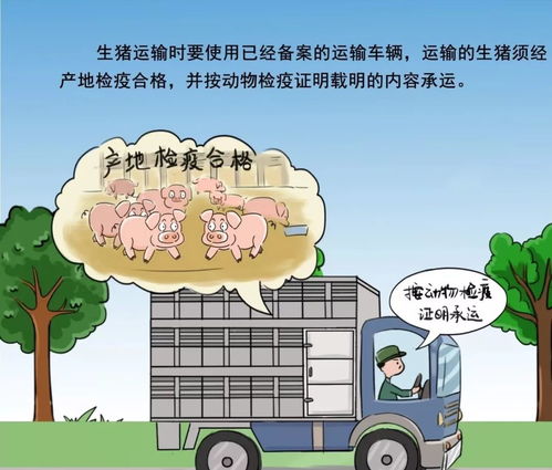 蓝耳病防控为何陷入困境？三大矛盾究竟是什么