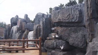 假山背后的绿意盎然