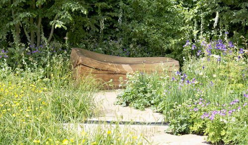 这些野草竟是千年中医瑰宝