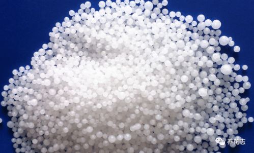养花尿素怎么用？用量如何把握