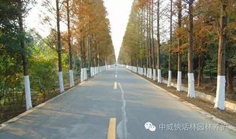 防冻害、 日灼，保护树木两不误