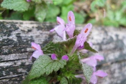 环境因素也要注意