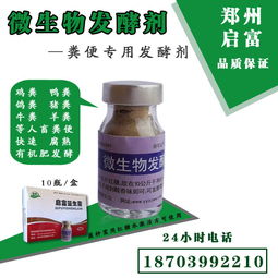 神农菌肥：菌种优化与组合的典范