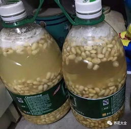 添加干燥材料， 设置通风环境，豆渣沤肥无臭，简单，零技术