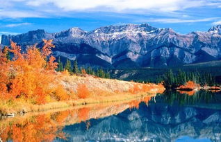 缓解压力，神清气爽