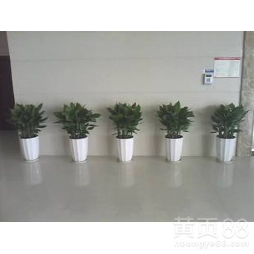 服务灵活性与可靠性