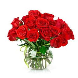 红玫瑰的病虫害防治