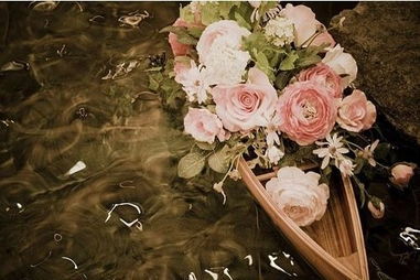 “世界之花，谁曾一睹芳华