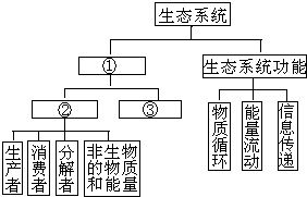 生态功嫩平衡法：乱七八糟的考虑