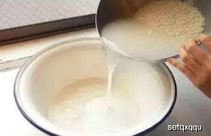 叶子卷了？试试用温水浸泡