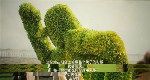 园林绿化行业：财富的秘密花园