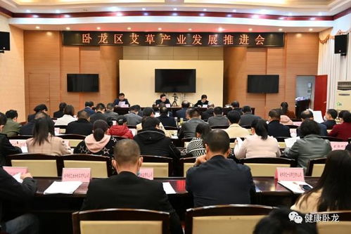 艾草产业发展回顾：华道梅的全面分析