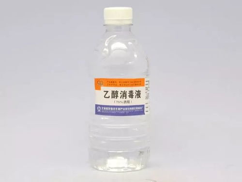 花盆小白虫怎么去除？75%酒精喷杀，简单有效！