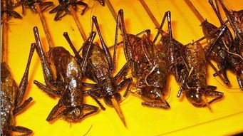 吃货们， 你们也来帮忙