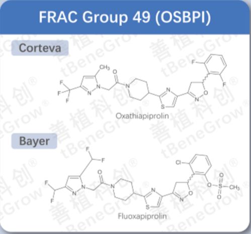 农药和氯酸盐，这是个啥关系？