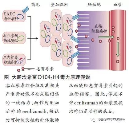 羊有机磷中毒原因解析及特效解毒剂指南