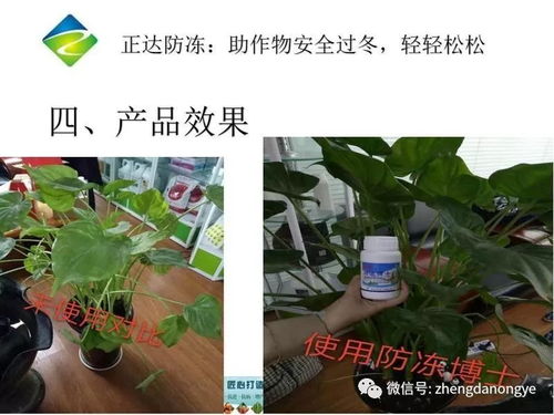 寒潮防御三件套