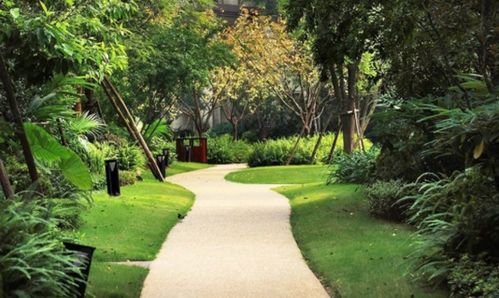 湿地种植树木，管理与维护至关重要